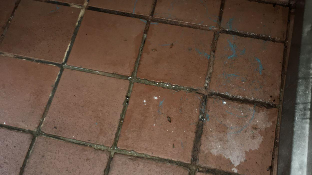 Roaches, clogged sinks among reasons 21 restaurants fail November Pima County health inspections